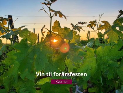 Mousserende vine til forårsfesten